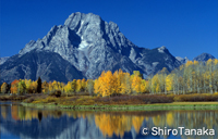 Mt.Moran