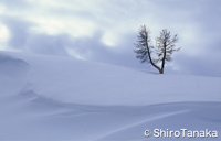 雪景・ハイドンバレイ