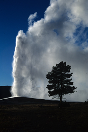 Old Faithful Geyser