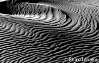 Sand Dune