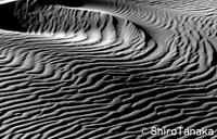 Sand Dune