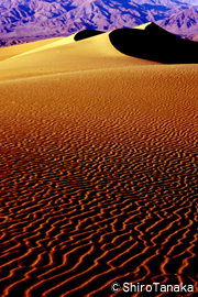 Sand Dune