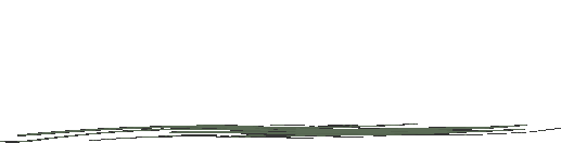 イエローストーン・グランドティトン国立公園 - アメリカ