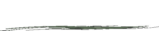 中国の棚田 - 中国・雲南省